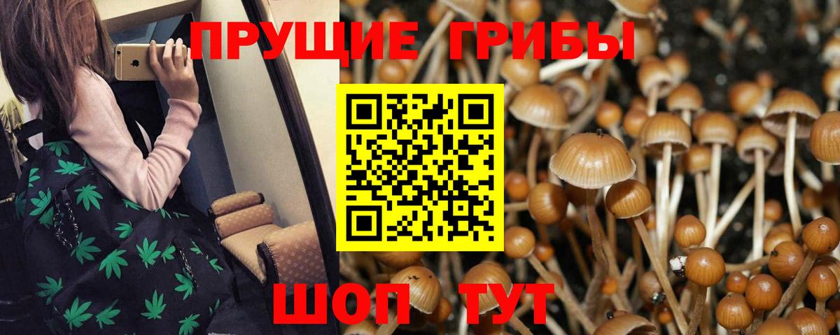 Галлюциногенные грибы Cubensis  Псилоцибиновые грибы мухоморы  Вход с VPN  Саров 